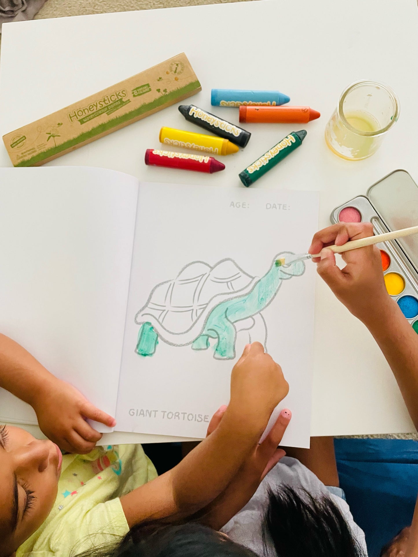 Toddlers First Coloring Book - An Endangered Animals Adventure by Honeysticks USA