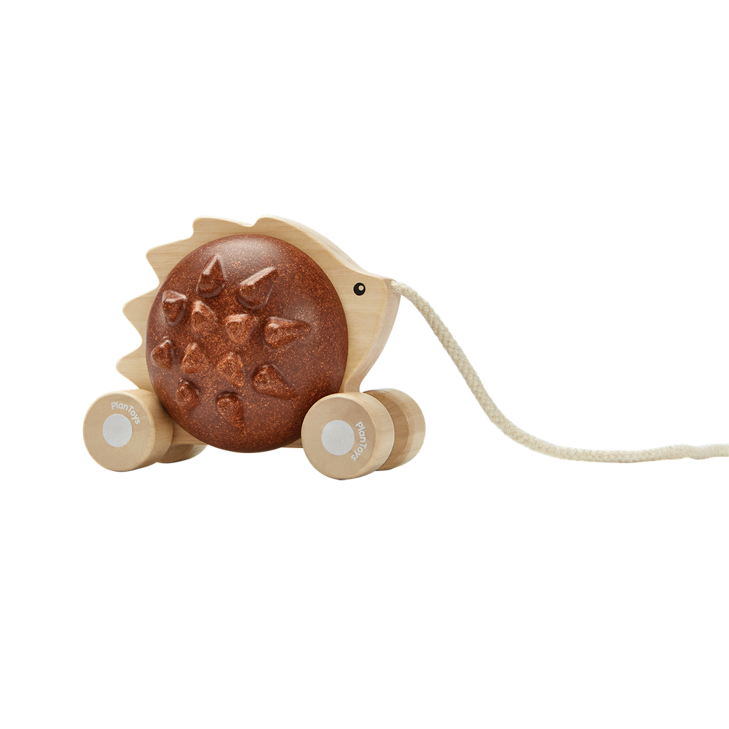 Pull Along Hedgehog - Brown