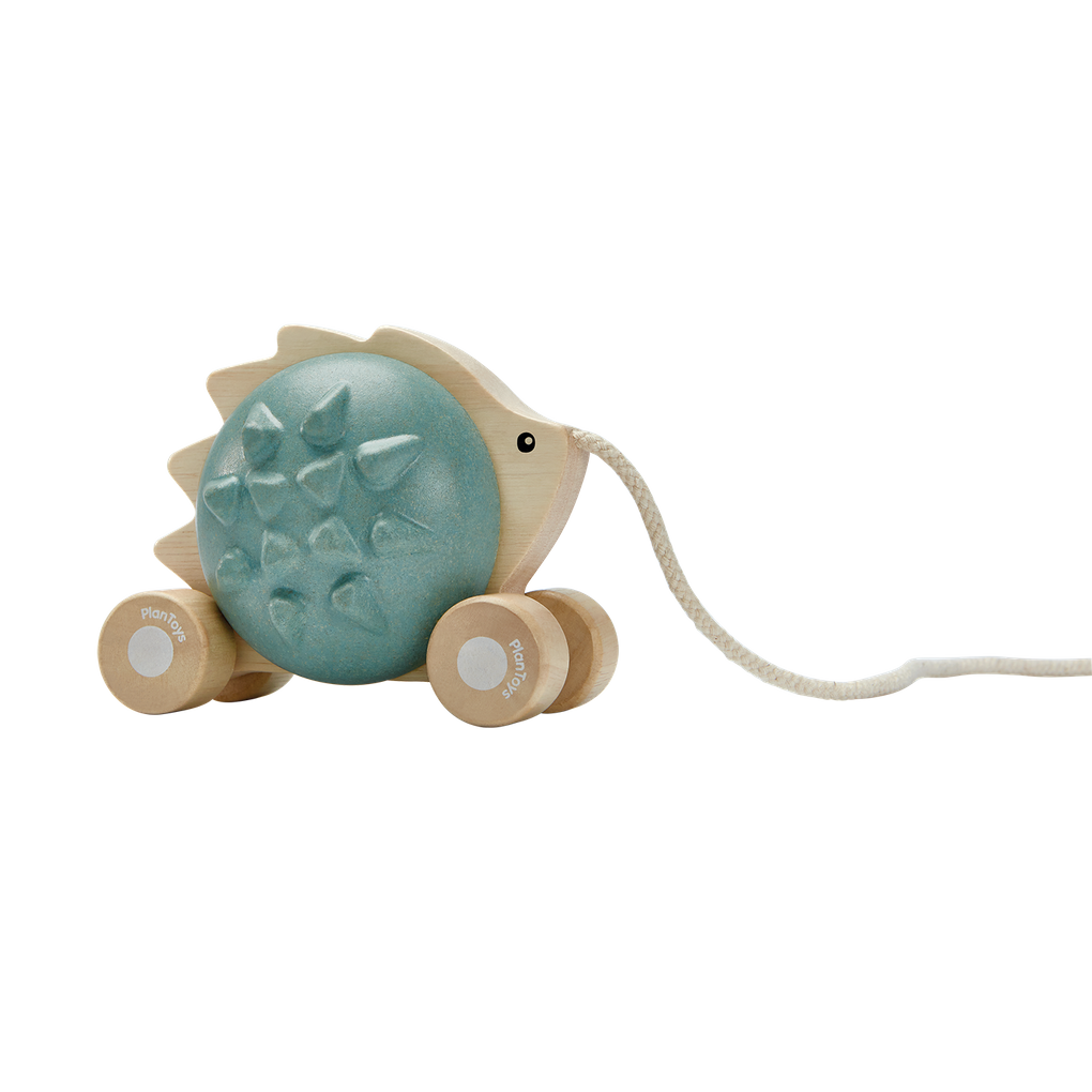 Pull Along Hedgehog - Blue
