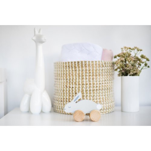 Your little baby girl or baby boy will love playing, racing and hopping with this adorable wooden bunny push toy by Pearhead!
• Includes one wooden gray toy bunny p
