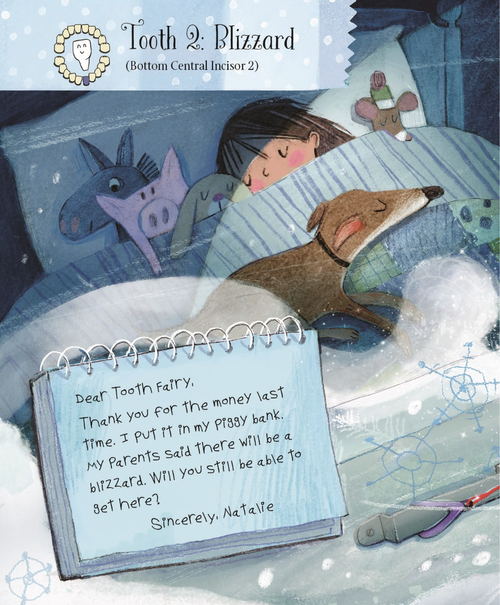 Letters From My Tooth Fairy by Brooke Hecker
Did you know the journey of losing baby teeth lasts for six years? From the loss of that very first baby tooth, a little