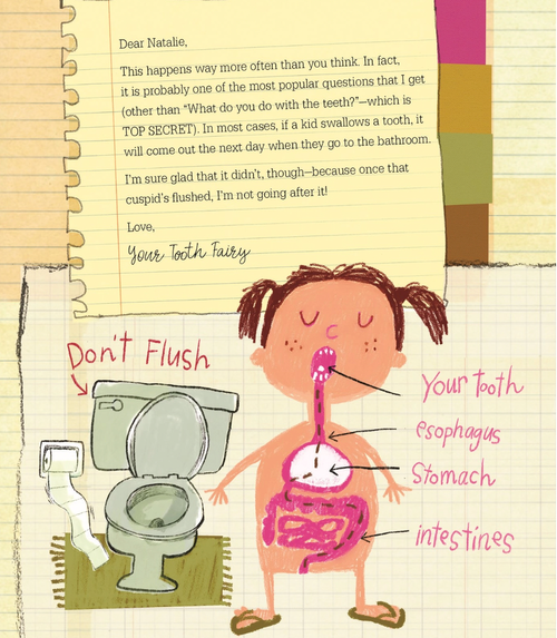 Letters From My Tooth Fairy by Brooke Hecker
Did you know the journey of losing baby teeth lasts for six years? From the loss of that very first baby tooth, a little