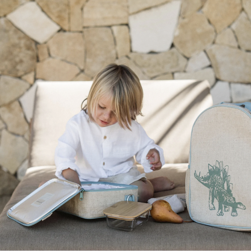 RULE THE PLAYGROUND WITH OUR STANDOUT WASHABLE INSULATED KIDS LUNCH BOXES!
Inspired by times long ago, the powerful, plant-eating Stegosaurus reminds even the pickie