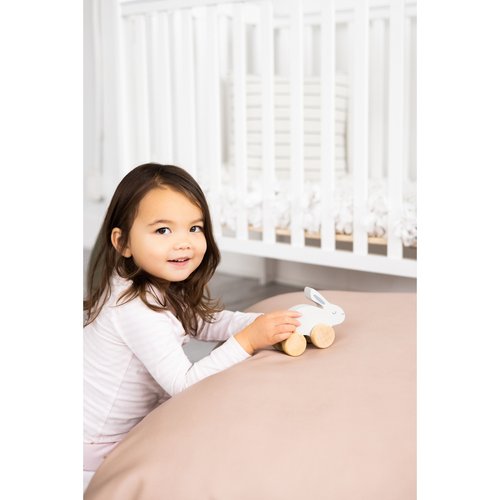 Your little baby girl or baby boy will love playing, racing and hopping with this adorable wooden bunny push toy by Pearhead!
• Includes one wooden gray toy bunny p