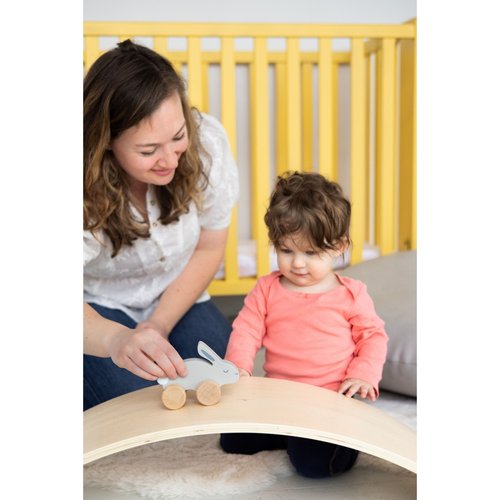 Your little baby girl or baby boy will love playing, racing and hopping with this adorable wooden bunny push toy by Pearhead!
• Includes one wooden gray toy bunny p
