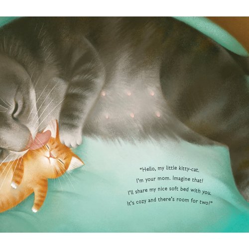 Hello, Baby! I'm Your Mom by Eve Bunting
Written in rhyme, Hello, Baby! is a tender tribute to the love between mother and child. Whether the pair walks on two legs,