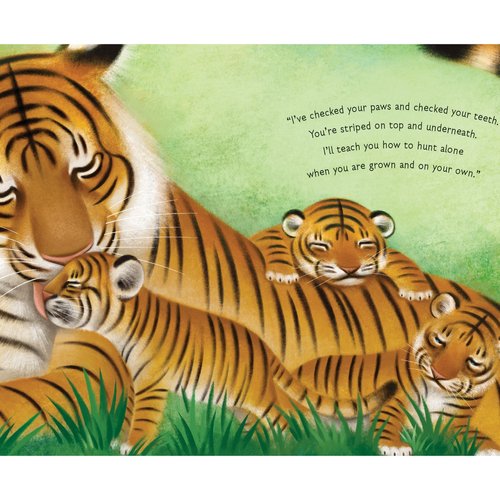 Hello, Baby! I'm Your Mom by Eve Bunting
Written in rhyme, Hello, Baby! is a tender tribute to the love between mother and child. Whether the pair walks on two legs,