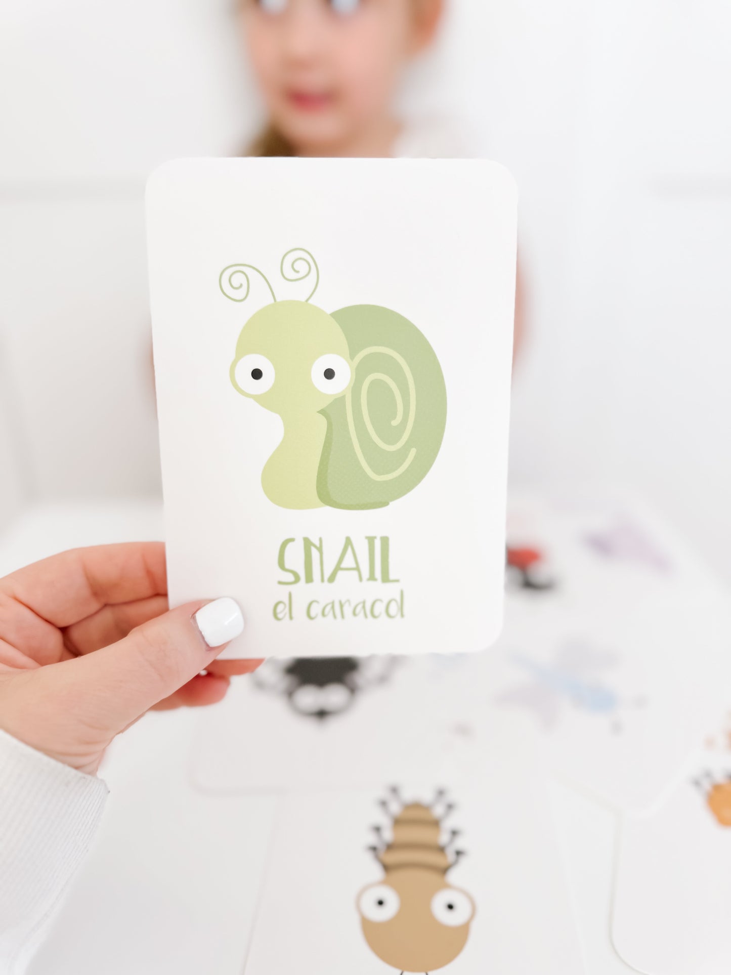 Bugs Flashcards
