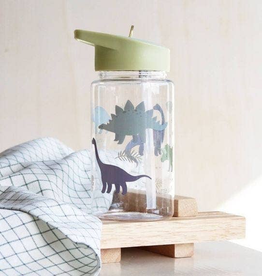 Kids drink bottle/water bottle - Dinosaurs