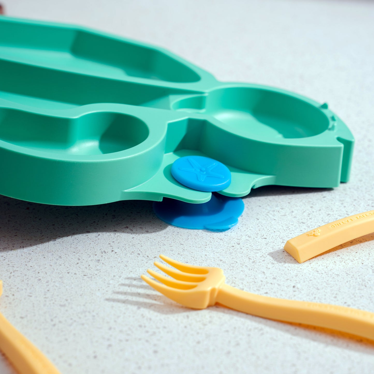 Turtle Training Plate and Utensils - Green by Constructive Eating