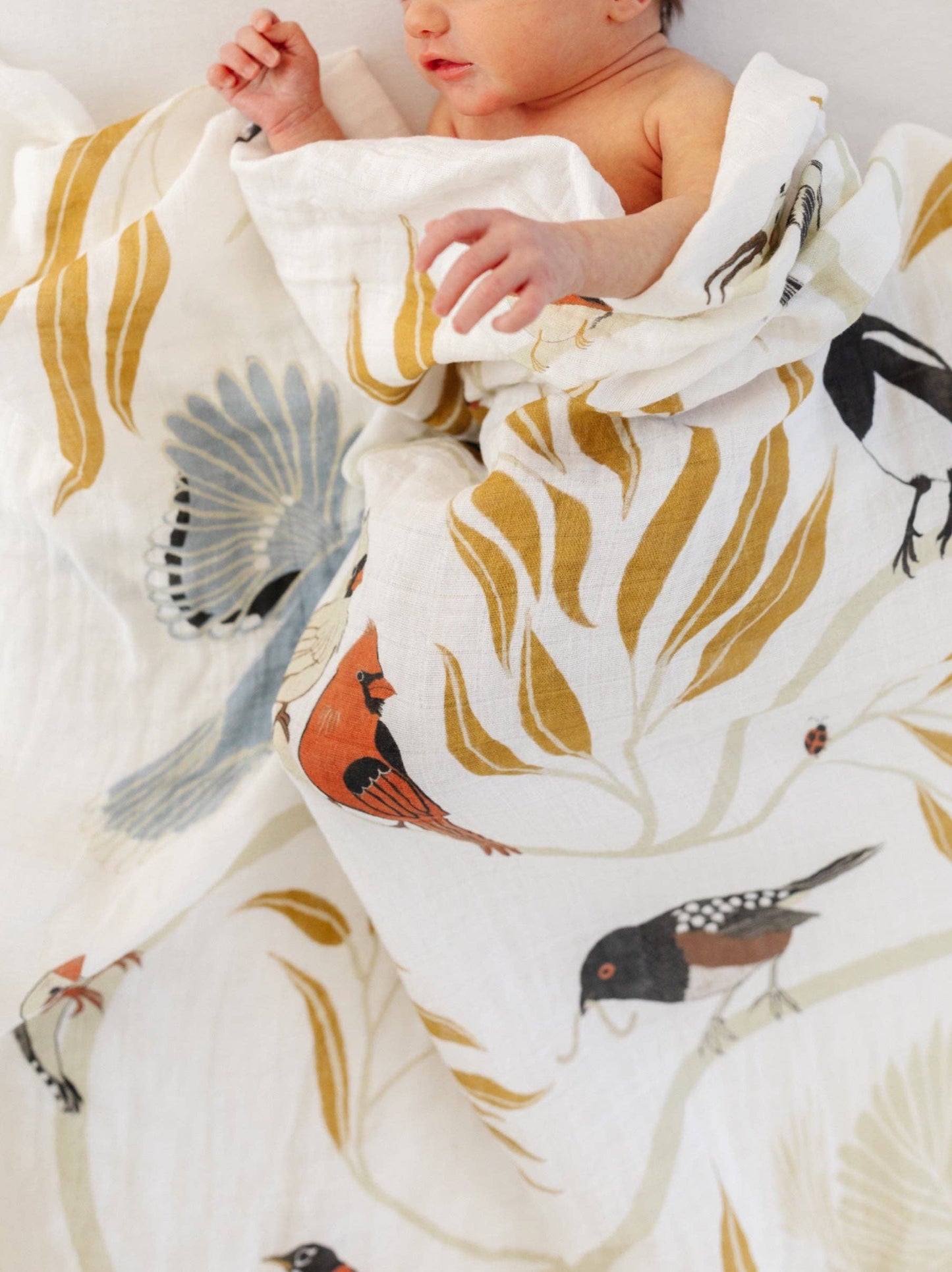 For the Birds Swaddle