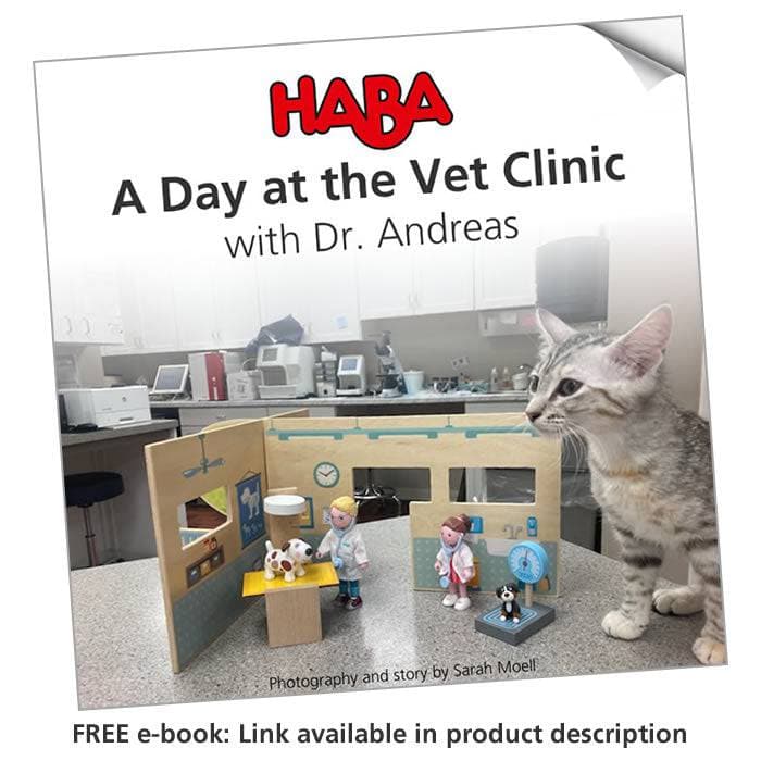 Little Friends Vet Clinic Play Set with Rebecca Doll