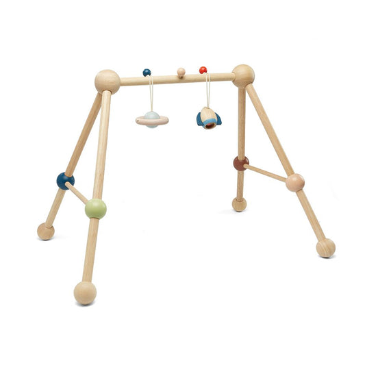 Play Gym - Orchard