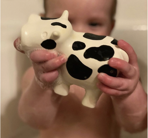 This barnyard bath toy set is great for water play indoors and out. These chunky yet soft bath characters are the perfect gift for toddlers who love storytime in the